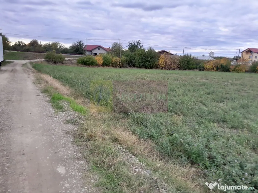 COSERENI( il ) - TEREN 2K MP DE VANZARE (52 M DESCHIDERE ... 