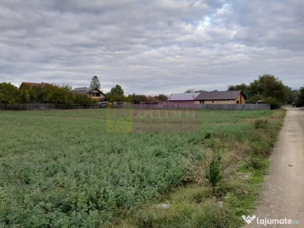 COSERENI( il ) - TEREN 2K MP DE VANZARE (52 M DESCHIDERE ... 