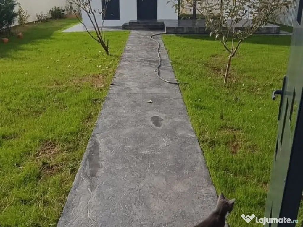 CASA DE LANGA PADURE, Clinceni str. Mierlei 73J 