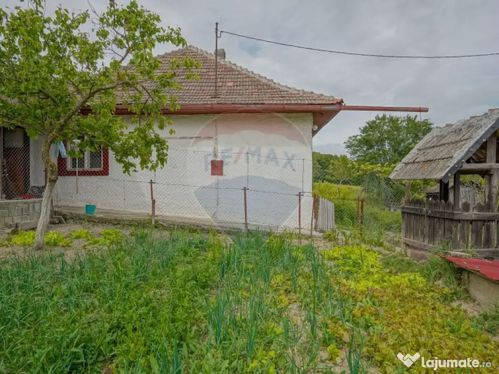 Casă cu 4 camere de vânzare in Racos, COMISION 0%! 