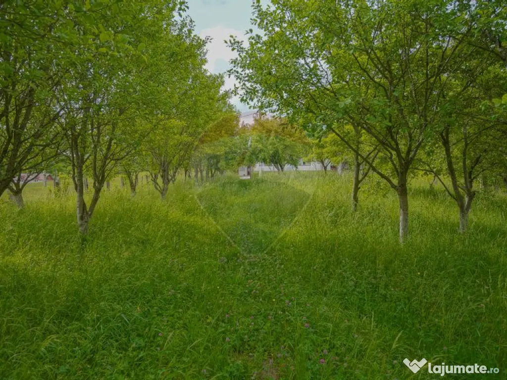 Casă cu 4 camere de vânzare in Racos, COMISION 0%! 