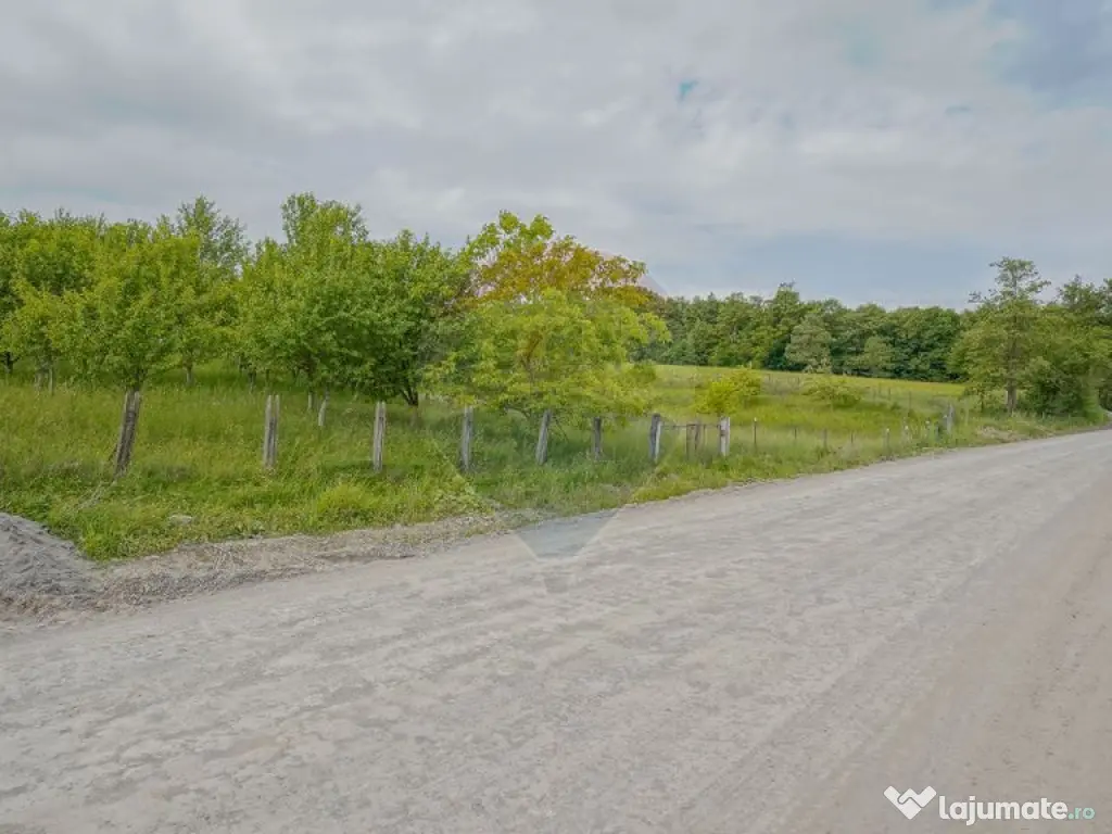 Casă cu 4 camere de vânzare in Racos, COMISION 0%! 