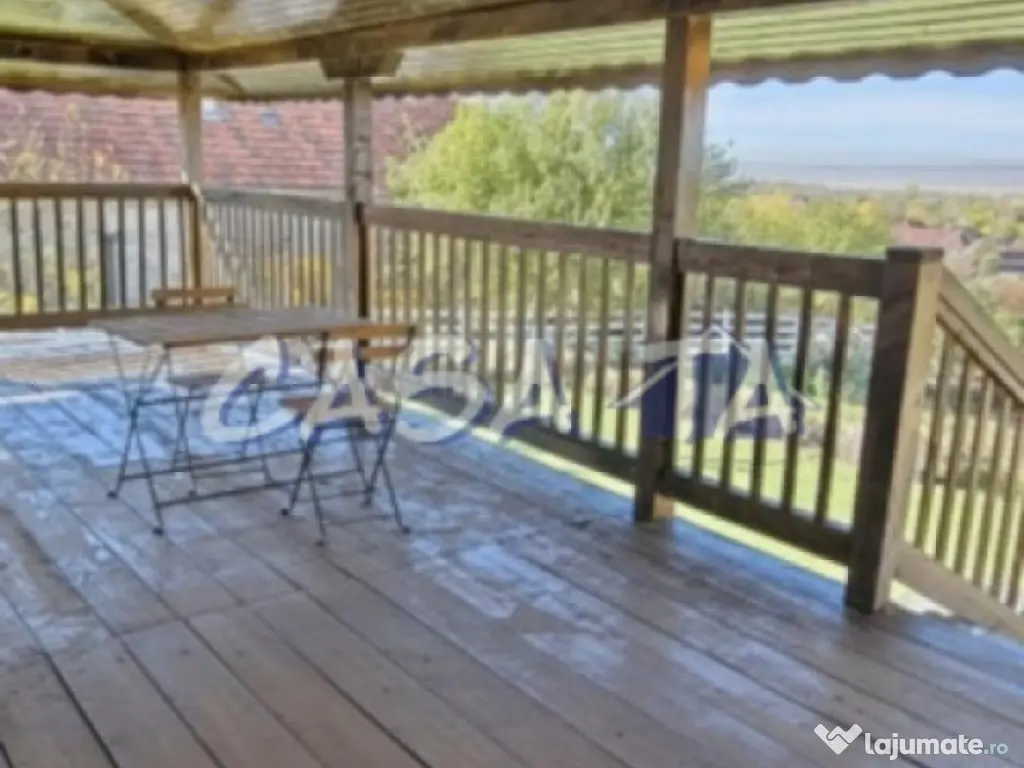 Închiriere casa cocheta, situata în Tetila (Curtișoara Go 