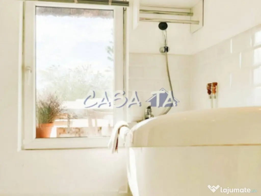 Închiriere casa cocheta, situata în Tetila (Curtișoara Go 