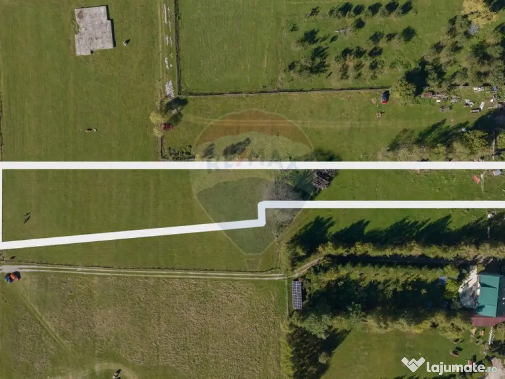 Teren 3.997 mp, priveliște superbă Plaiul Foii, 0% comi...