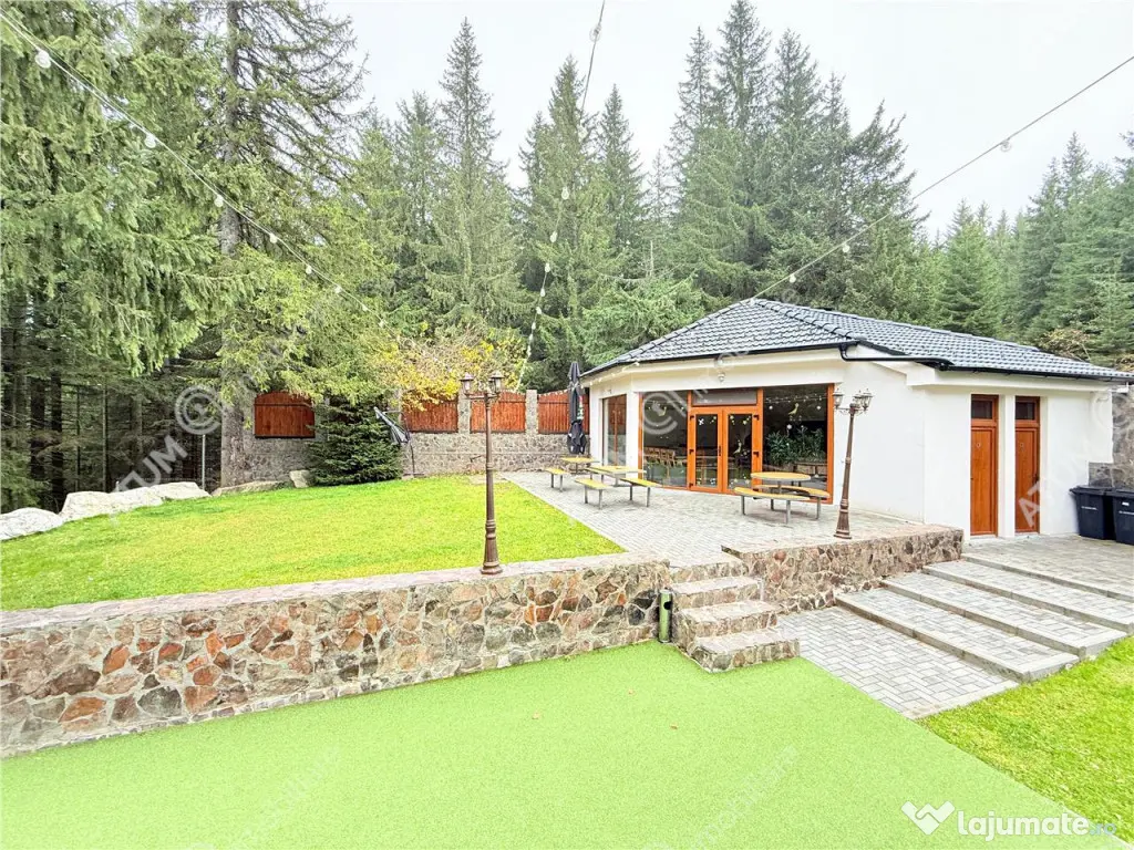 Propietate unicat de in Sibiu zona turistica Paltinis