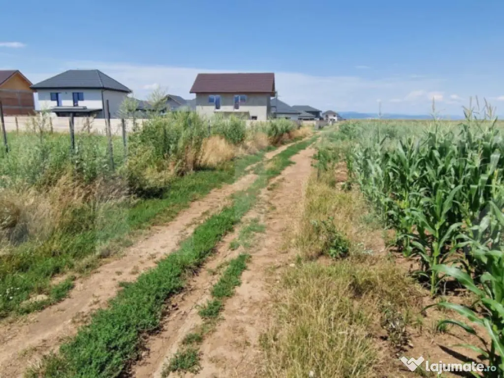 ???? Teren de vânzare, partial intravilan – Izvor, Tărlu