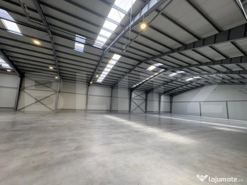 Spații de birouri și hale de producție la 5 min de TArgu