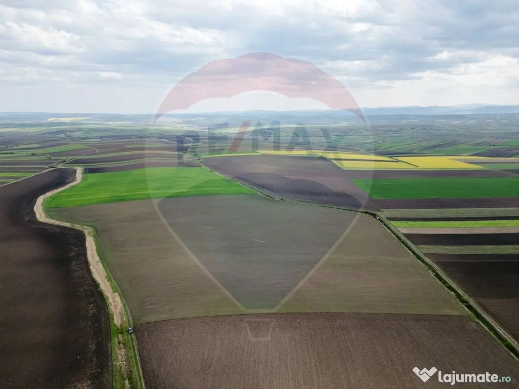 Teren 86,000mp Suceava / DN 17 