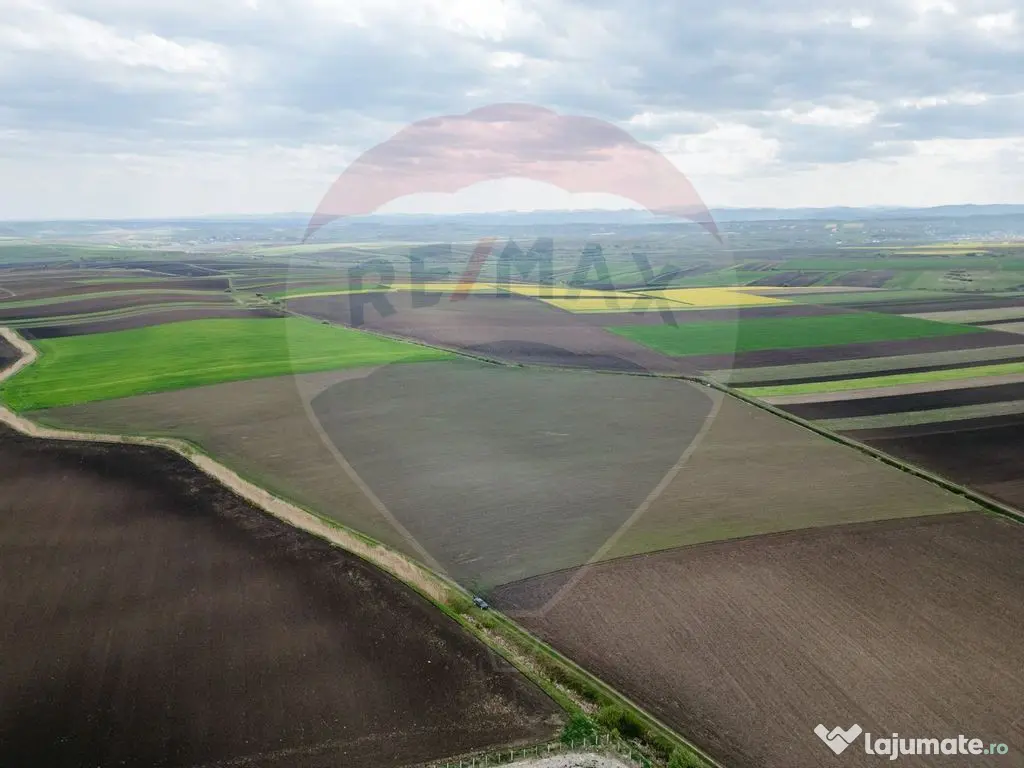 Teren 86,000mp Suceava / DN 17 