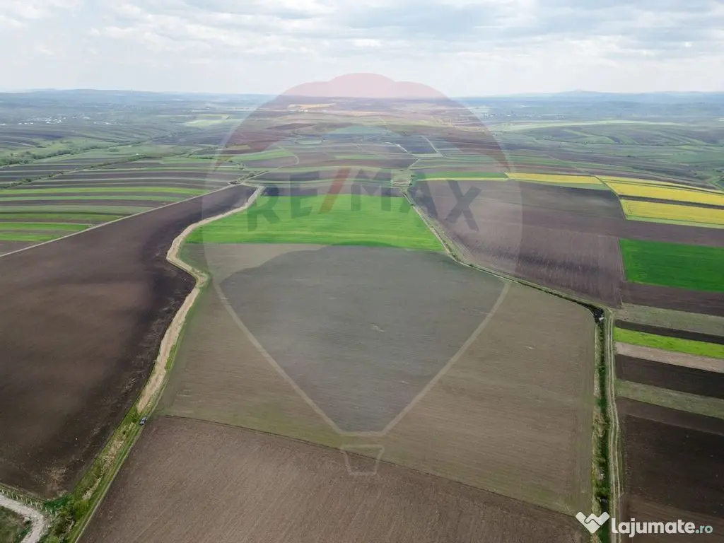 Teren 86,000mp Suceava / DN 17 