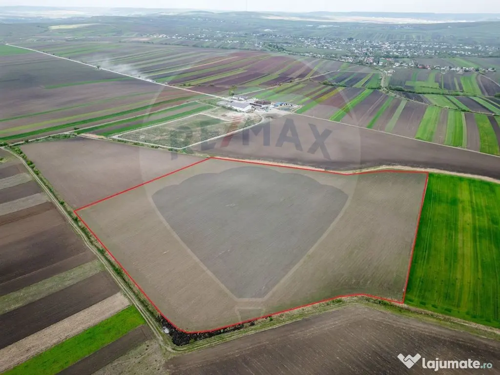 Teren 86,000mp Suceava / DN 17 