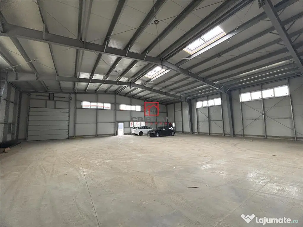 OCAZIE...BLACK FRIDAY... depozit/hala/spatiu industrial Pant