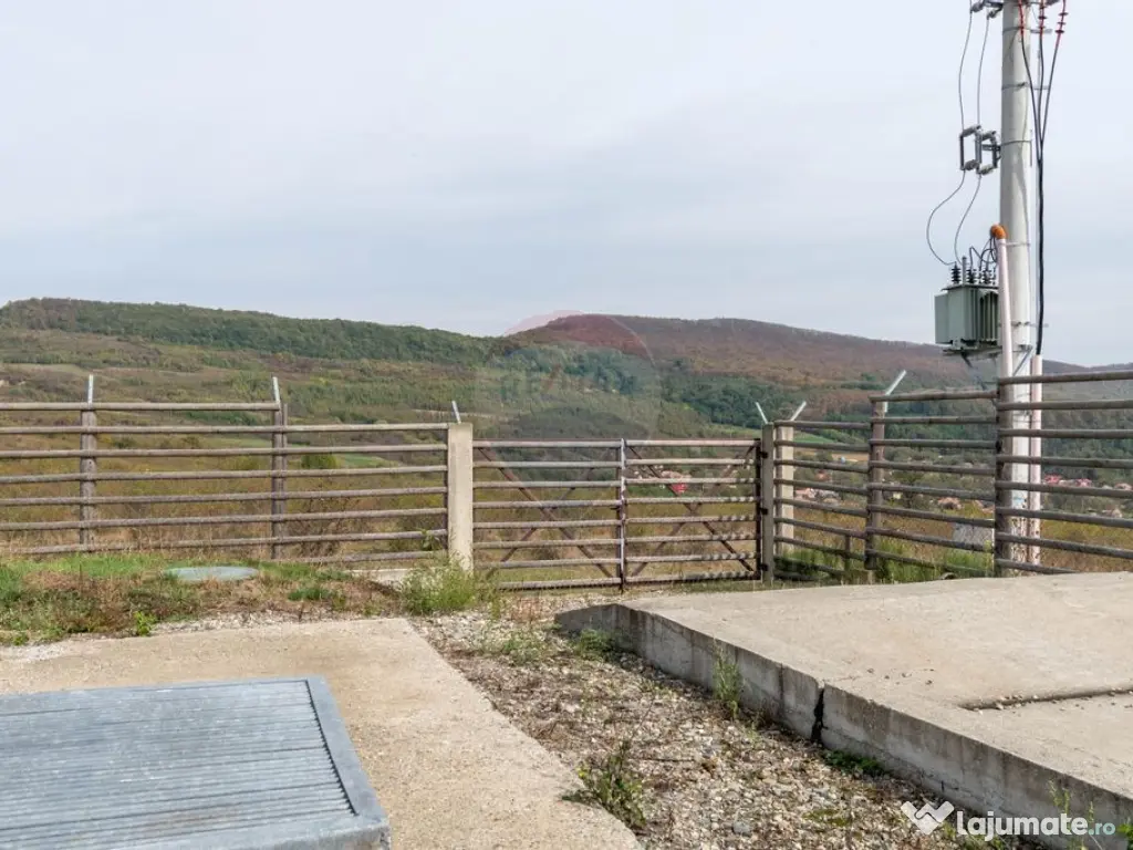 Ferma moderna de porci de vanzare in Curtuiusu Dejului 