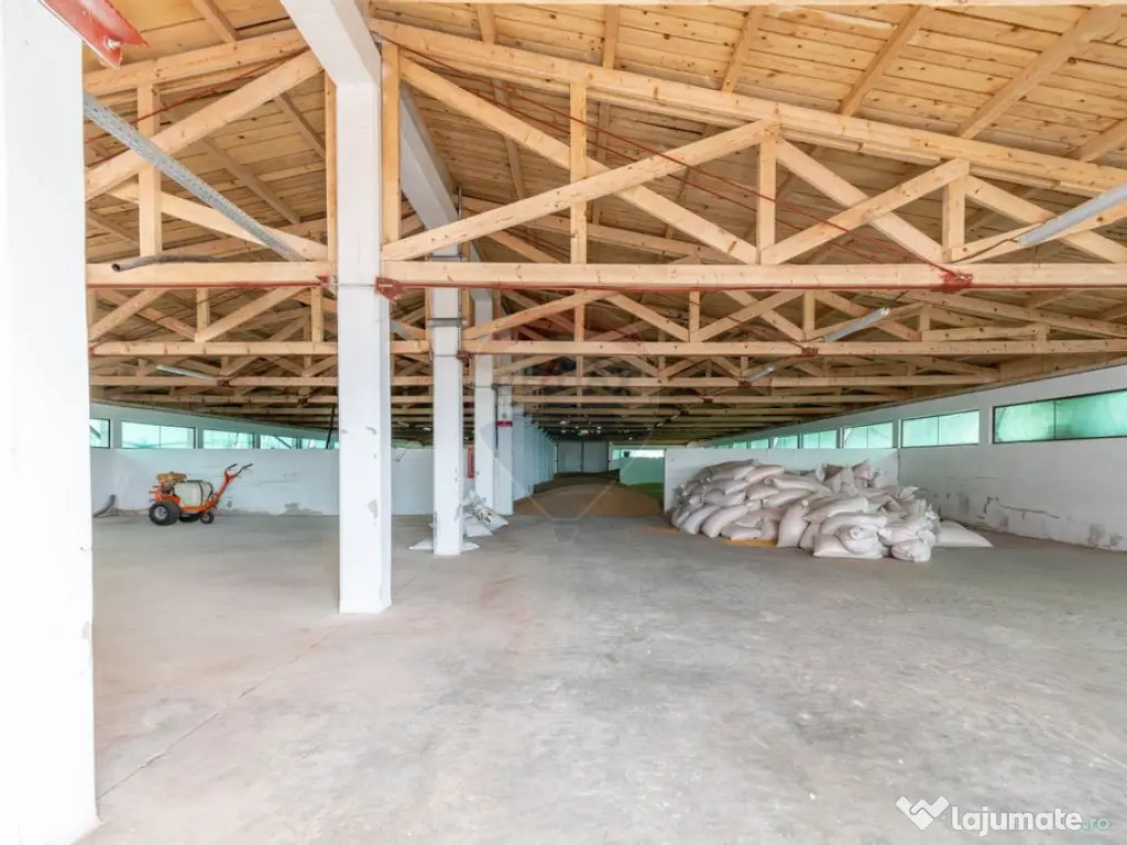 Ferma moderna de porci de vanzare in Curtuiusu Dejului 