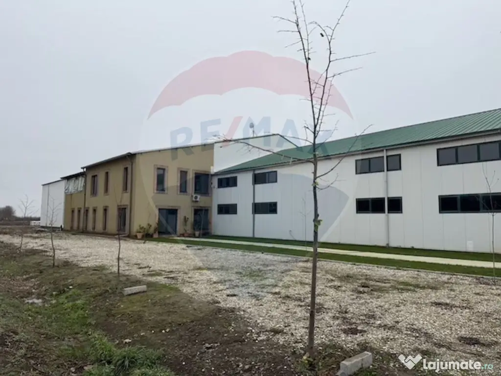 Ferma agro-industrială – 43 ha Adunații Copaceni