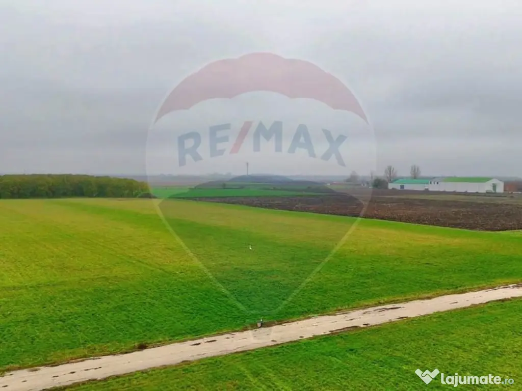 Ferma agro-industrială – 43 ha Adunații Copaceni 