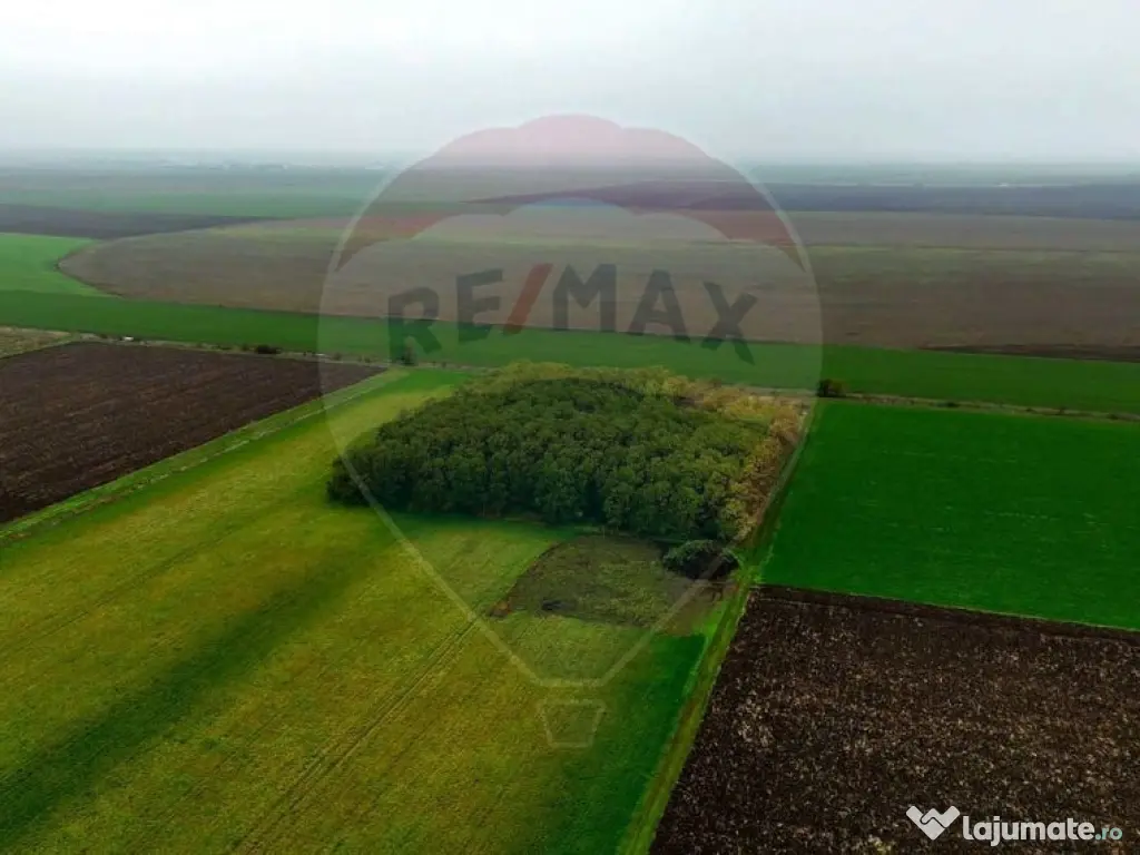 Ferma agro-industrială – 43 ha Adunații Copaceni 