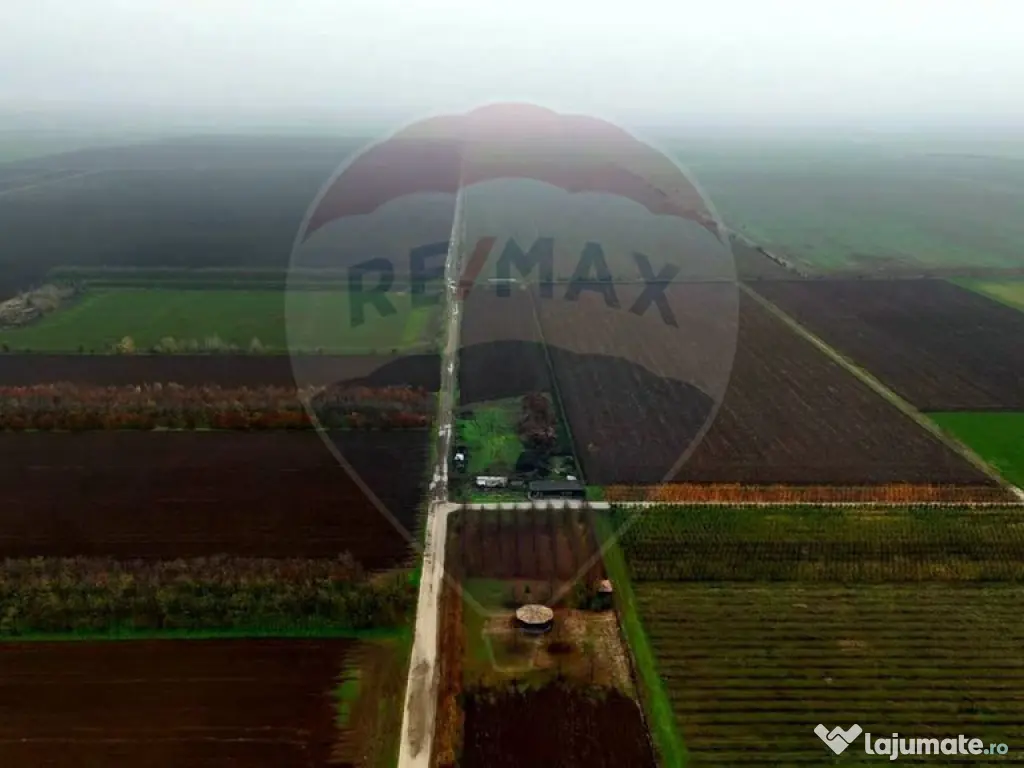 Ferma agro-industrială – 43 ha Adunații Copaceni 