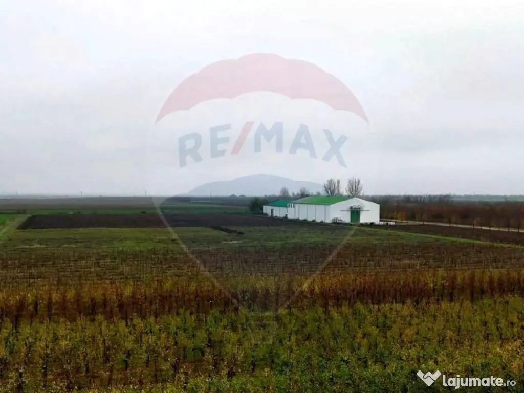 Ferma agro-industrială – 43 ha Adunații Copaceni 