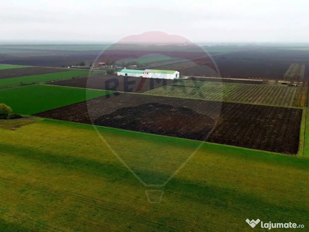 Ferma agro-industrială – 43 ha Adunații Copaceni 