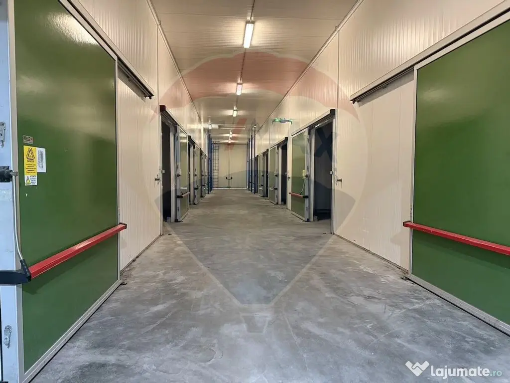 Ferma agro-industrială – 43 ha Adunații Copaceni 