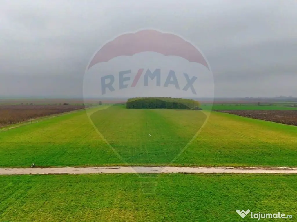 Ferma agro-industrială – 43 ha Adunații Copaceni 