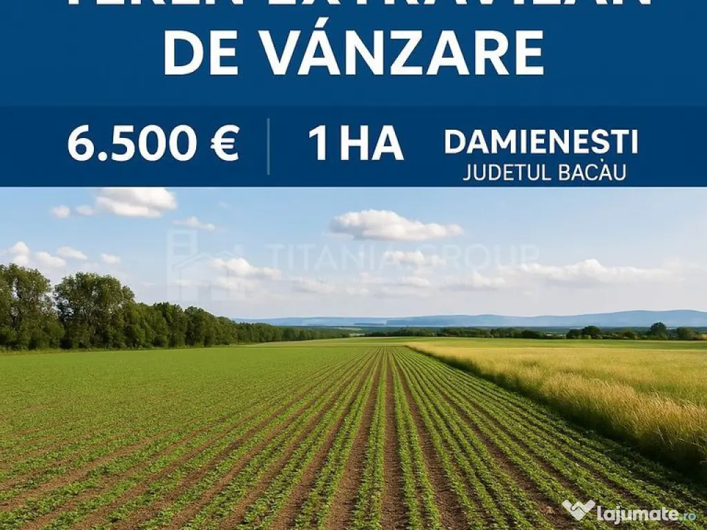 Teren extravilan agricol 1 ha de vânzare- Damienești, B...