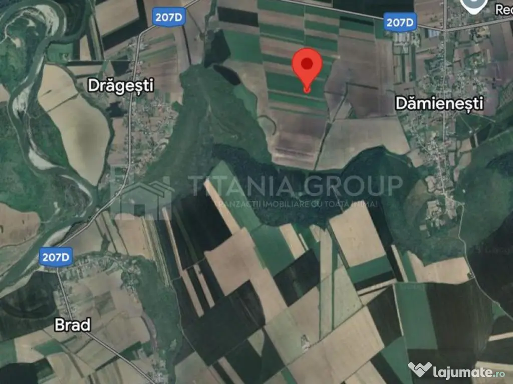 Teren extravilan agricol 1 ha de vânzare- Damienești, B... 
