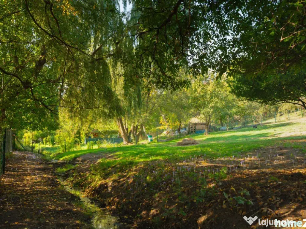 Teren Intravilan 3290 mp Codlea 3 Parcele