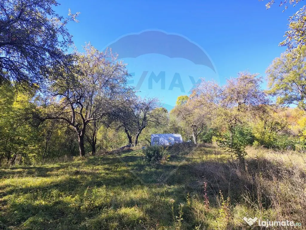 Teren 5,408mp Pucioasa / Strada Miculesti