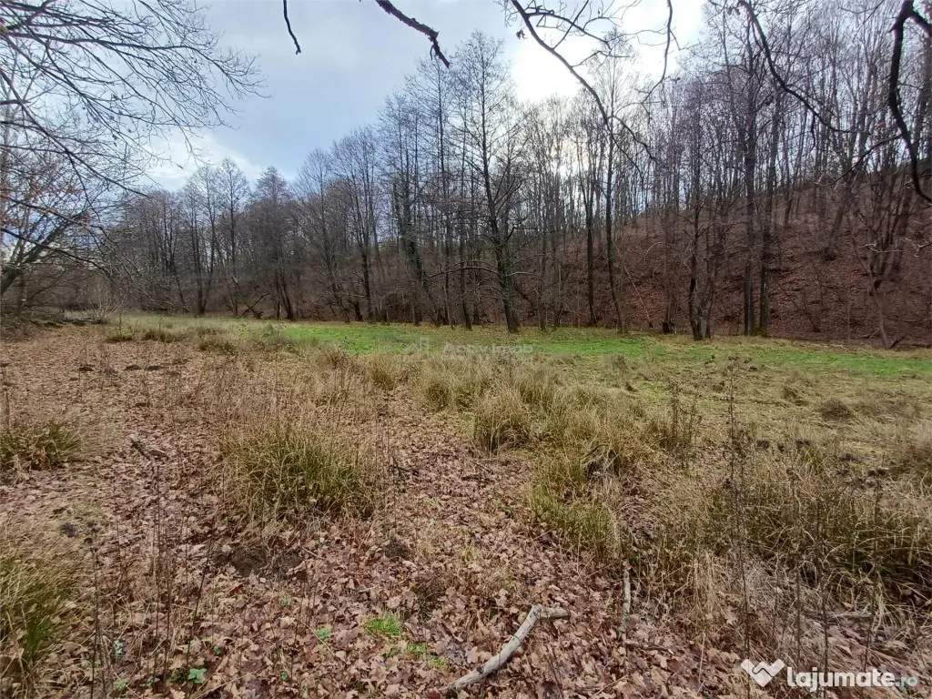 Resita, Teren Drept Intravilan, Langa Prau si Drum, Parcelab 