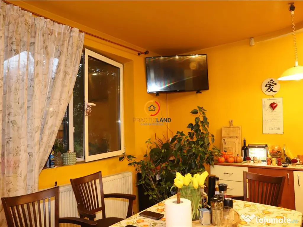 Vila Oportunitate Unica