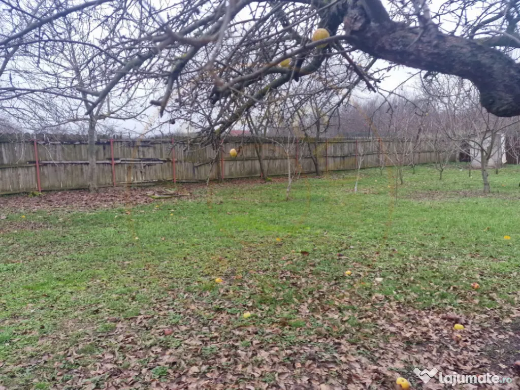 Casa Podul Broșteni- Arges! 