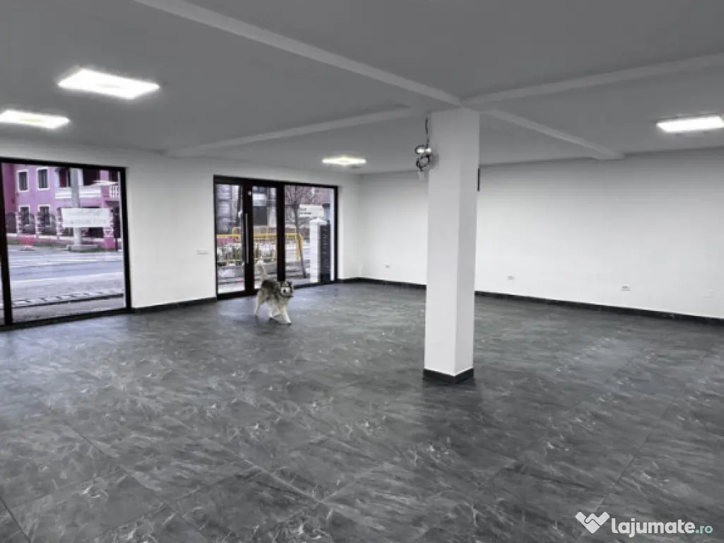 Spatiu Comercial 120 mp utili Podari