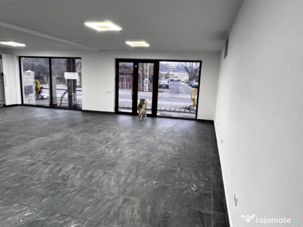 Spatiu Comercial 120 mp utili Podari
