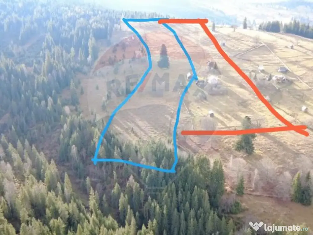 Teren intravilan 26232m.p. Dorna-Arini / Cozănești