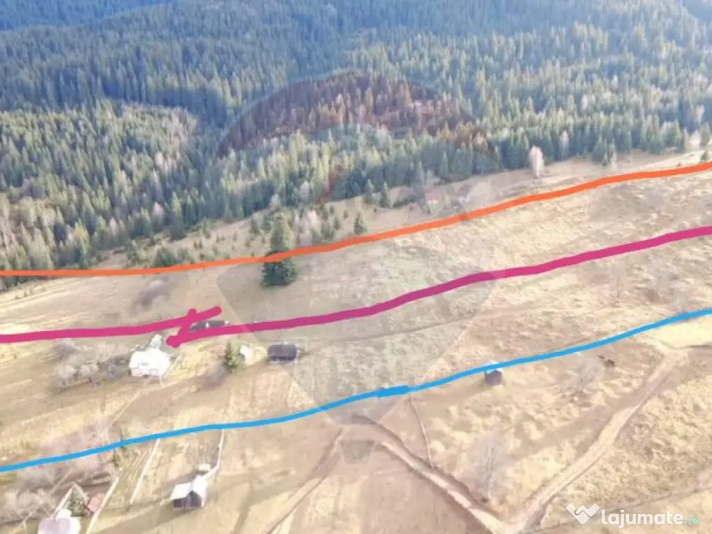 Teren intravilan 26232m.p. Dorna-Arini / Cozănești