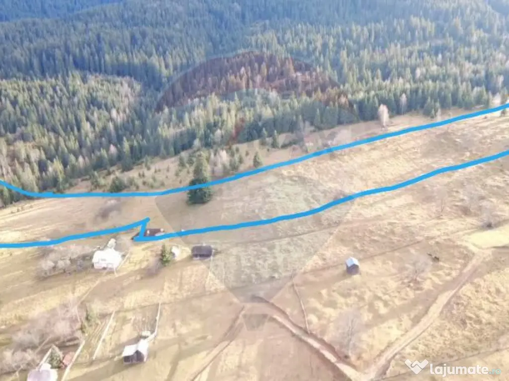 Teren intravilan 26232m.p. Dorna-Arini / Cozănești