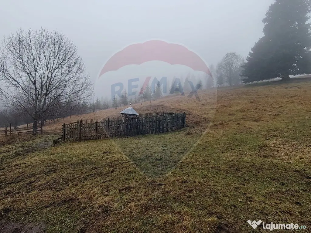 Teren intravilan 26232m.p. Dorna-Arini / Cozănești