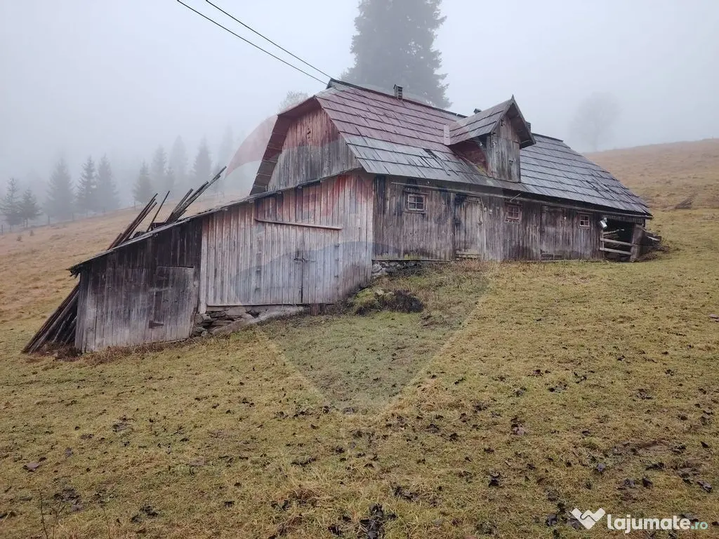 Teren intravilan 26232m.p. Dorna-Arini / Cozănești