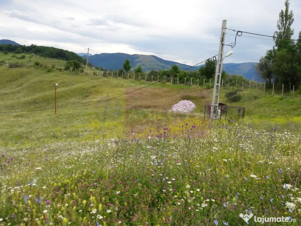 Teren intravilan de vanzare in Breaza (dezvoltare imobili... 