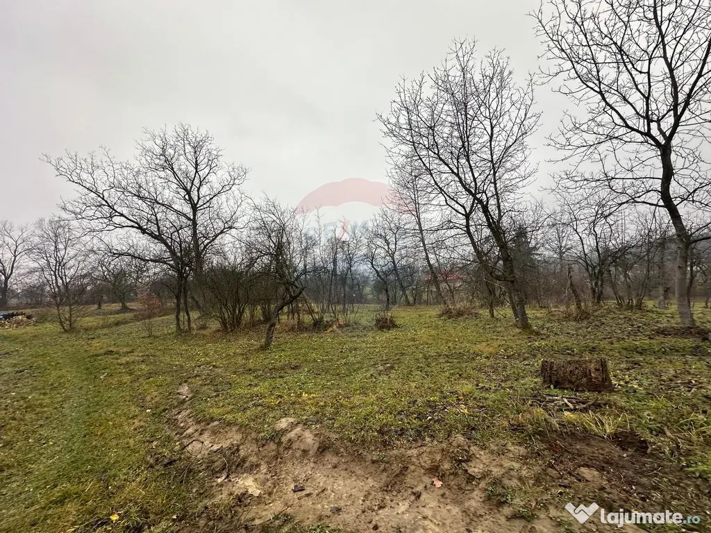 DE VANZARE - Teren strada Miron Costin 