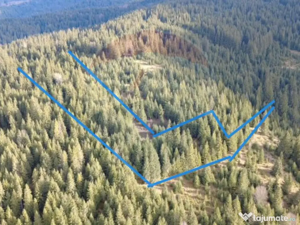 Teren 17,895mp Dorna-Arini / Prelungirea Cozănești 