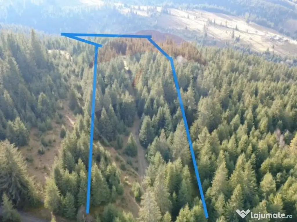 Teren 17,895mp Dorna-Arini / Prelungirea Cozănești 