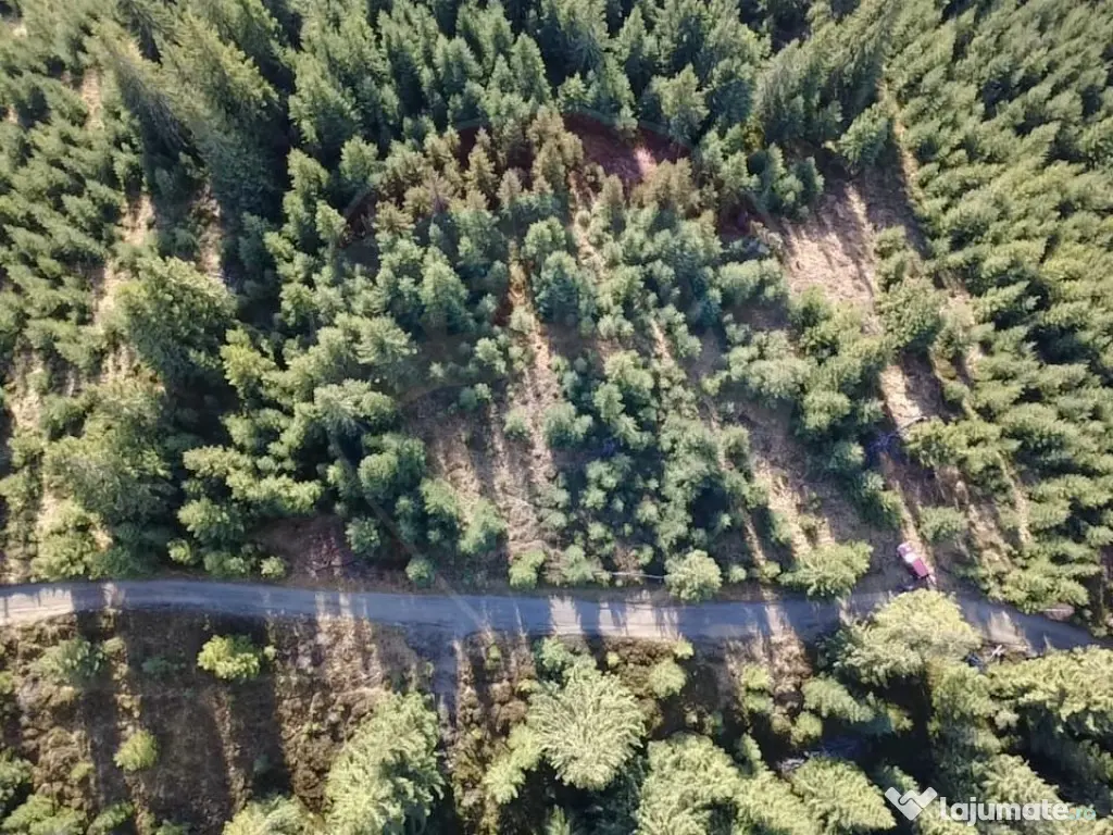 Teren 17,895mp Dorna-Arini / Prelungirea Cozănești 