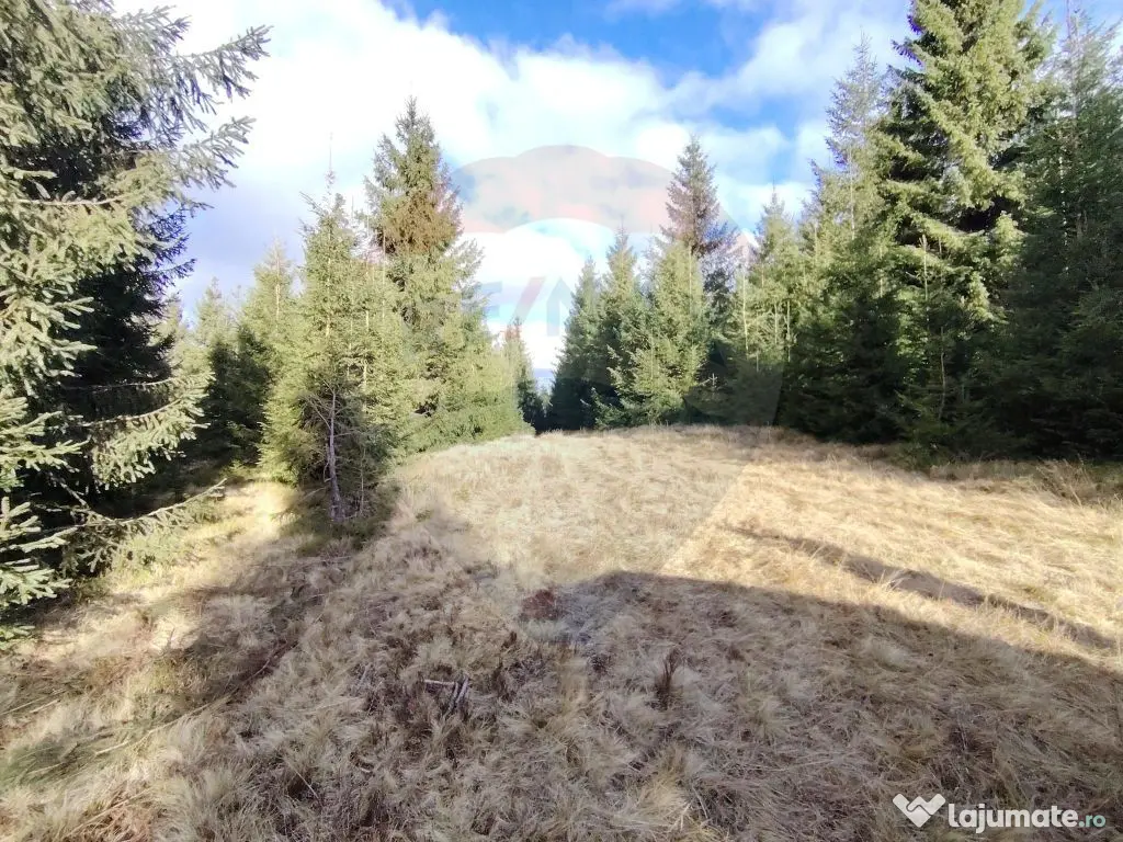 Teren 17,895mp Dorna-Arini / Prelungirea Cozănești 