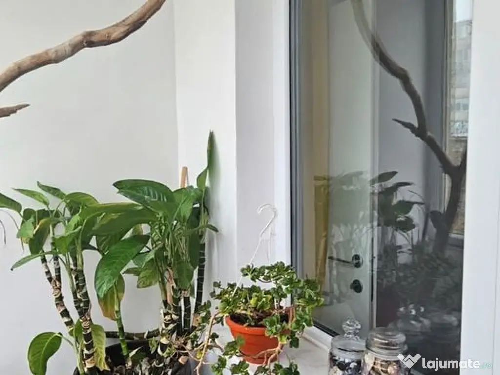 Apartament 2 camere zona Tomis III 