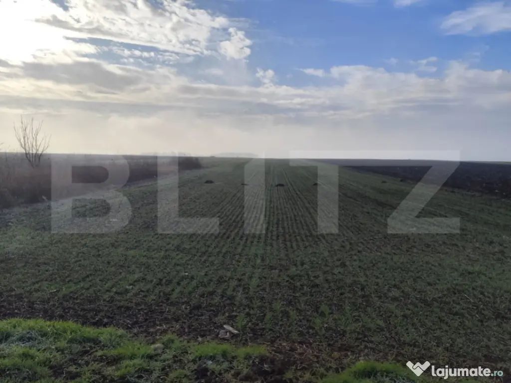 Teren 15000 mp extravilan, Miroslava-Vorovesti, langa zona d