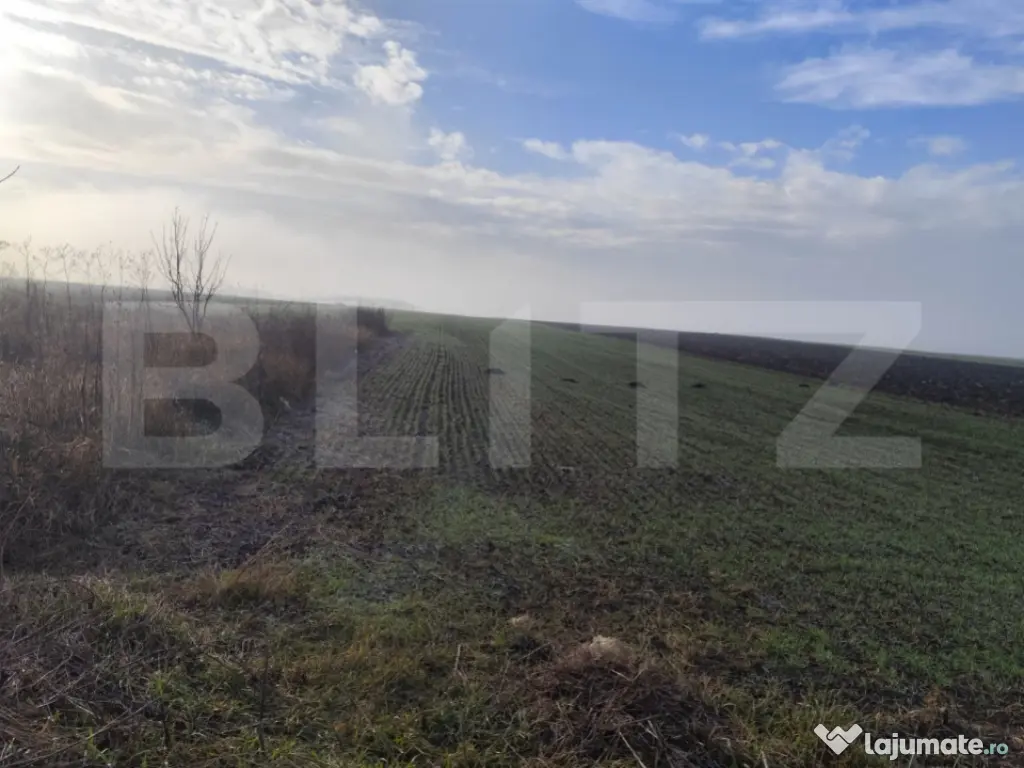 Teren 15000 mp extravilan, Miroslava-Vorovesti, langa zona d